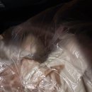 신남세탁소 이미지