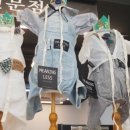 구가의 견 이미지