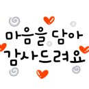 디어겨자씨네일