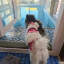 멍스빌리지풀빌라2 이미지