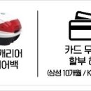 대림오토바이전북