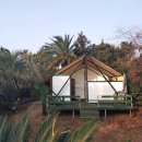 제주 야자원 이미지