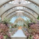 더자자호텔 | W. 결혼! 웨딩! 준비 더링크호텔 웨딩 계약 후기 견적(1)