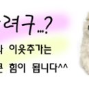 인동건축사무소 이미지