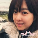 놀러와 이미지
