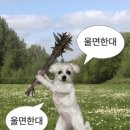 한*대