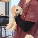 손 동물병원 이미지