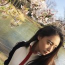 야나기 미키 카카오 검색결과