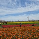 우포늪생태공원 | #창녕낙동강유채꽃축제#우포늪생태공원