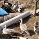 운교농장 이미지