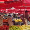 센스 생활의료기 이미지