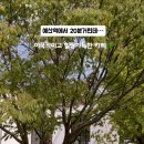 태신인테리어 이미지