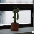 마들정형외과의원 이미지