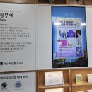 개포도서관 | 개포 하늘꿈 도서관 방문 후기
