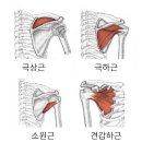 해늘한의원 이미지