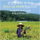 새남 이미지