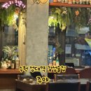 성균관대역 | 성균관대역 감성술집 주야 내돈내산 후기