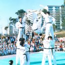 1997년 제1회 공개심사 '경희대시범단' 이미지