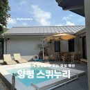 스퀴누리
