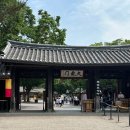 용인 아이와 가볼만한 곳/한국민속촌/주차장 입장료 할인정보 솔직후기(2025.6.6)