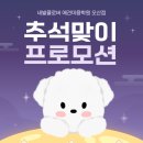 클로버 애견미용 이미지