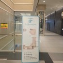 한방애개건강 | 동탄 호수공원 이프동물병원 노령견 건강검진 30%할인 이벤트 가격포함 솔직후기