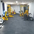 에이엔비 | 평릉동필라테스 동해시 재활 체형교정 에이엔비피티샵&amp;필라테스 가격 위치 주차 후기