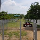 반려동물놀이터 이미지