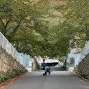 경주 포레스트 캠핑장 방갈로, D 사이트 후기, 노스피크 에어텐트