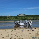 주인 오마이뉴스
