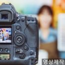 씨노미디어