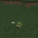 동강중학교 | ⠀