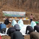 봉두산 이미지
