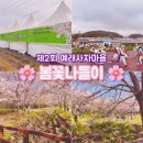 예래마을 새왓이기는 소리 | 제 2회 예래사자마을 봄꽃나들이 제주도 벚꽃구경하고 먹거리도 가득했던 후기