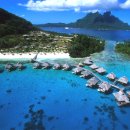 타히티 카카오 검색결과