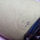 도담도담한의원 이미지