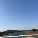 은행나무숲 입구 | 여주 강천섬 은행나무 숲길 방문후기 / 나들이 가볼만한 곳 추천