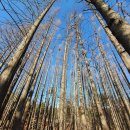 고잔근린공원 이미지