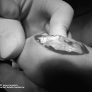 아담동물병원 이미지