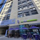 벚꽃로 가로수길 이미지