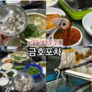 금호판매서비스 | 광주 금호동 술집 쭈꾸미 금호포차 로컬맛집 후기