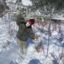 꿈꾸는 농장 이미지