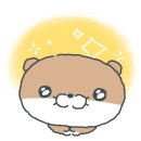 왕산골숲속 이미지