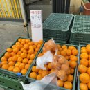 백두상회 - 포항시 북구 용두산길 40 | 백두상회
