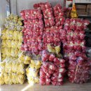 명신장갑 이미지