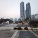 대호애견미용실 이미지