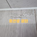 윤선생클린 이미지