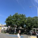 하버하우스 | 시드니 여행 코스ㅣ오페라하우스 패디스마켓 하버브릿지 천문대 후기