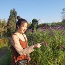 한밭목장 이미지