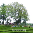 더낭만 이미지